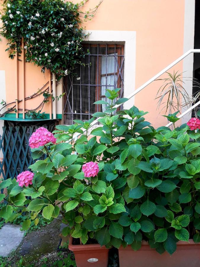 Il Campanile II Locazione Turistica Otel Pisa Dış mekan fotoğraf